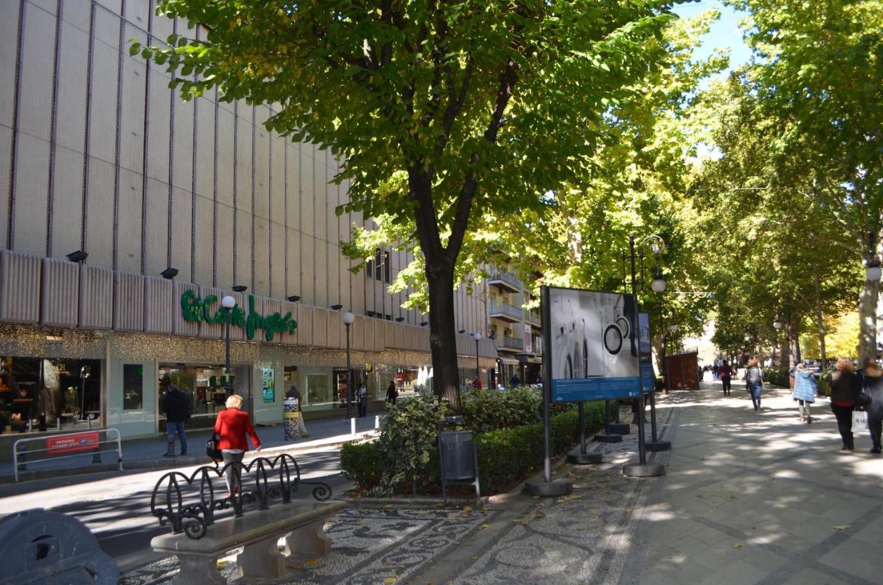 Carmela Suites Apartamento De Dos Dormitorios Granada Luaran gambar